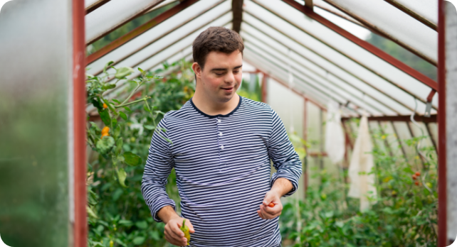 down-syndrome-adult-man-walking-in-greenhouse-gar-2022-02-01-22-36-54-utc.png